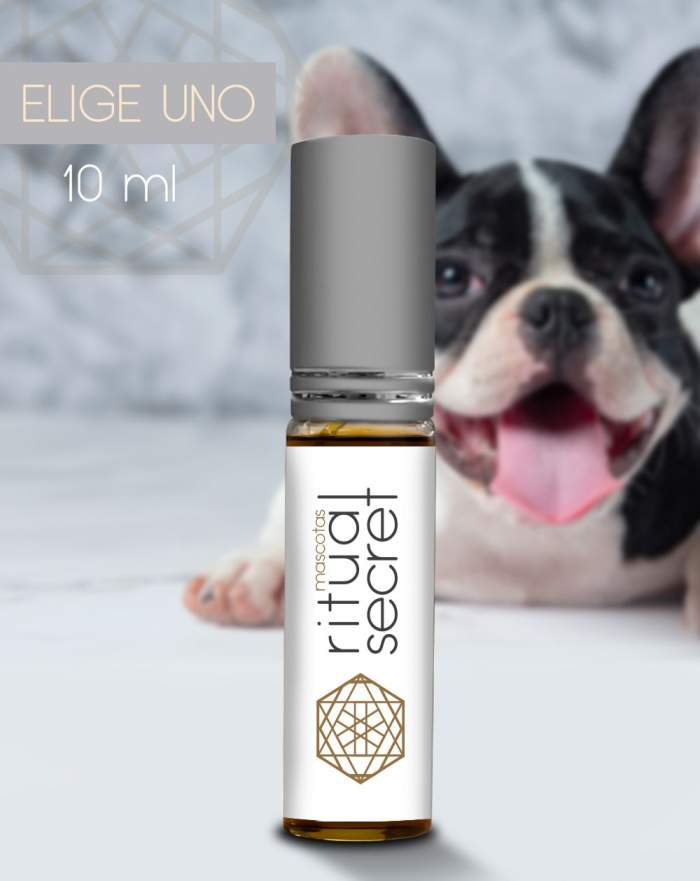 Aceite de CBD para Mascotas